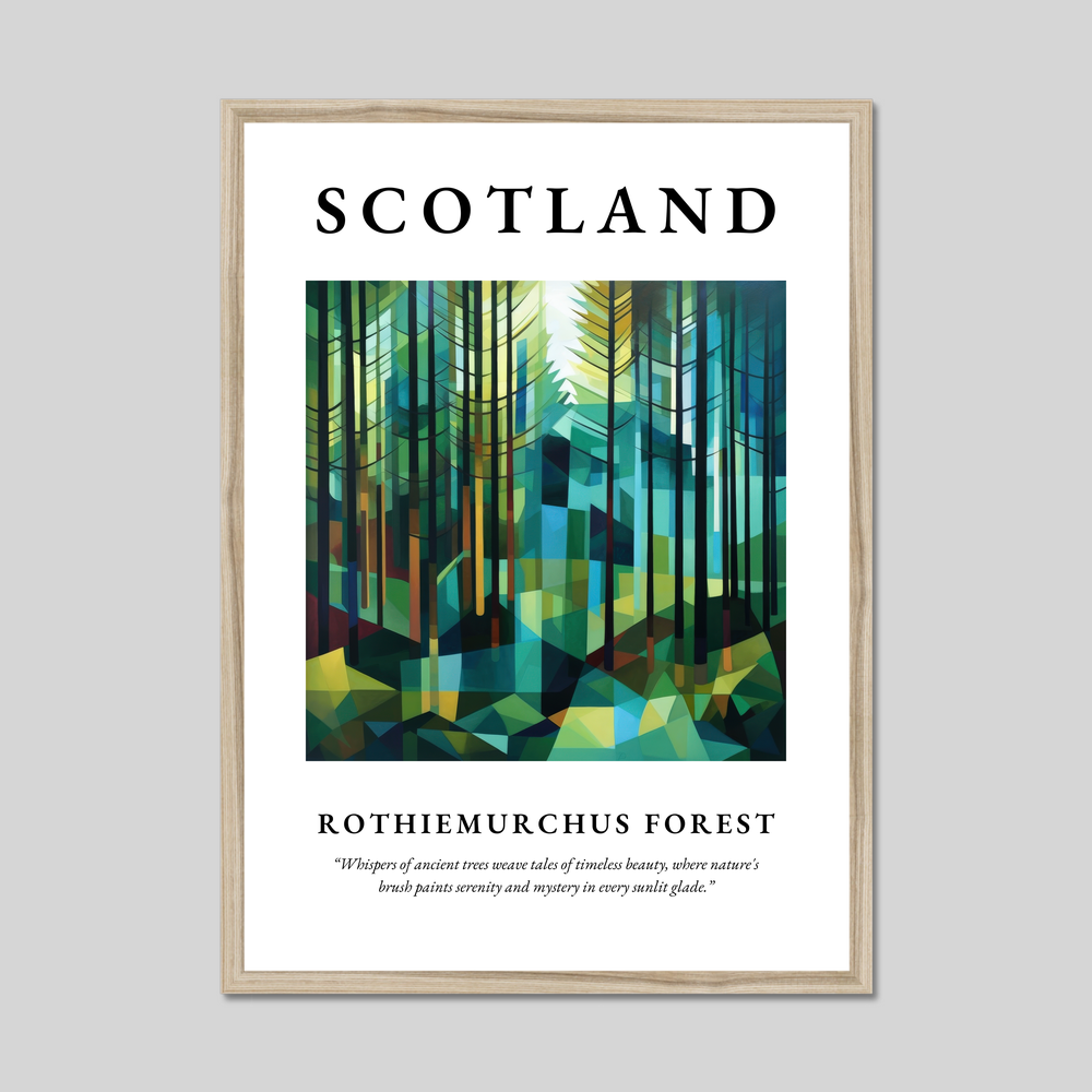 Rothiemurchus Forest - Framed Poster Print