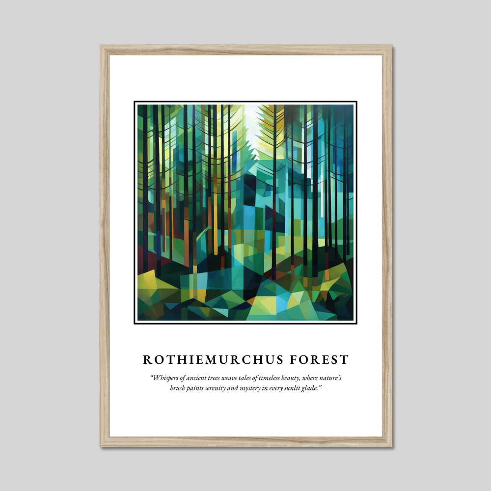 Rothiemurchus Forest - Framed Poster Print