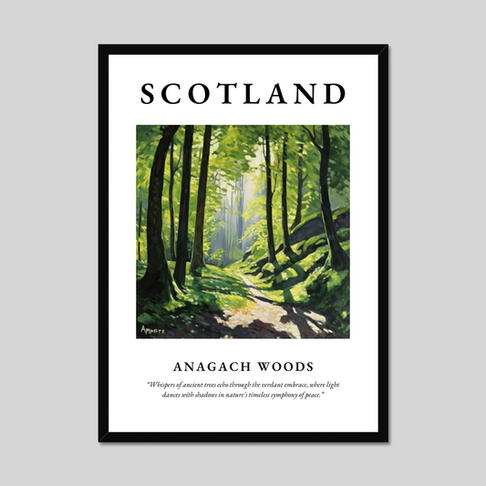 Anagach Woods - Framed Poster Print