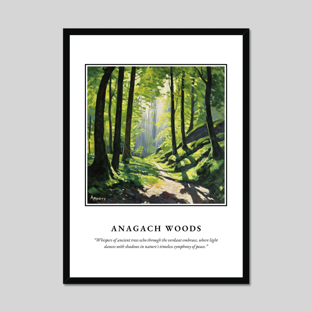 Anagach Woods - Framed Poster Print