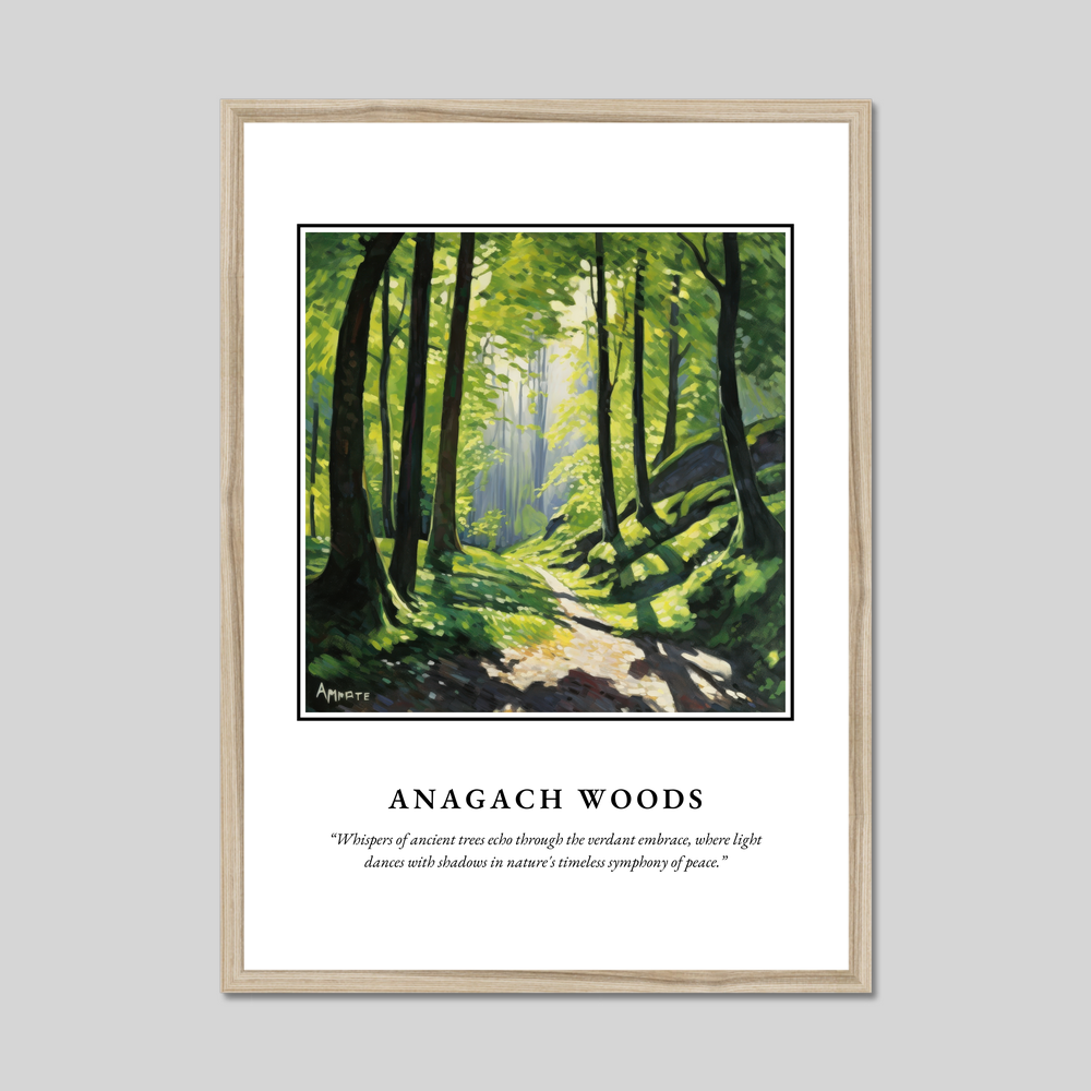 Anagach Woods - Framed Poster Print