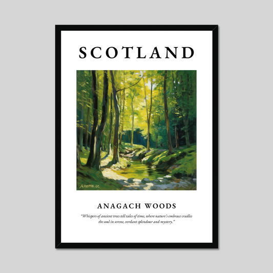 Anagach Woods - Framed Poster Print