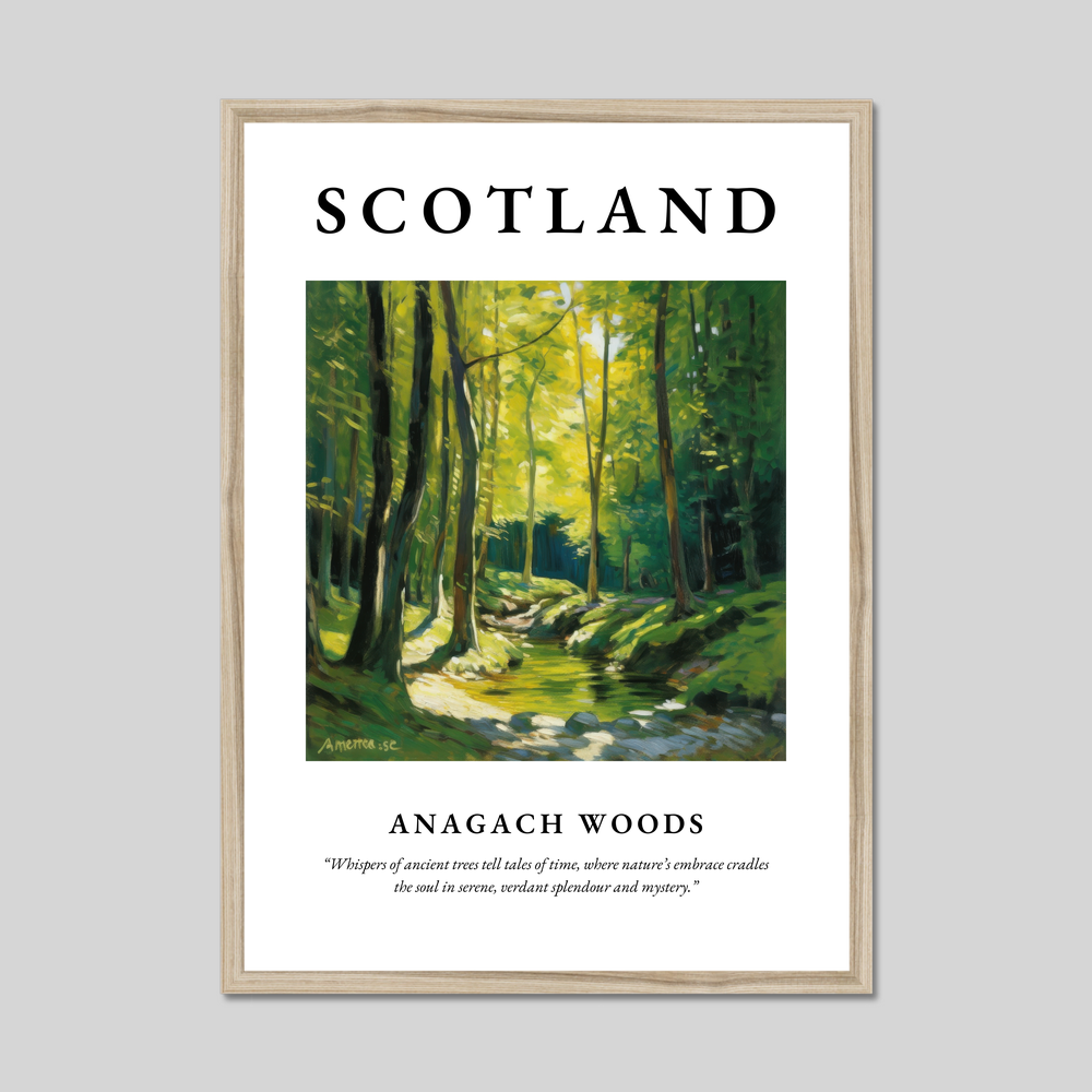 Anagach Woods - Framed Poster Print