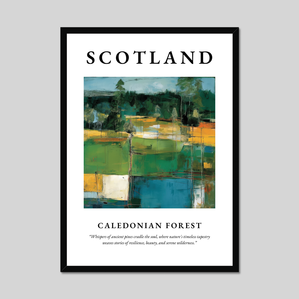 Caledonian Forest - Framed Poster Print