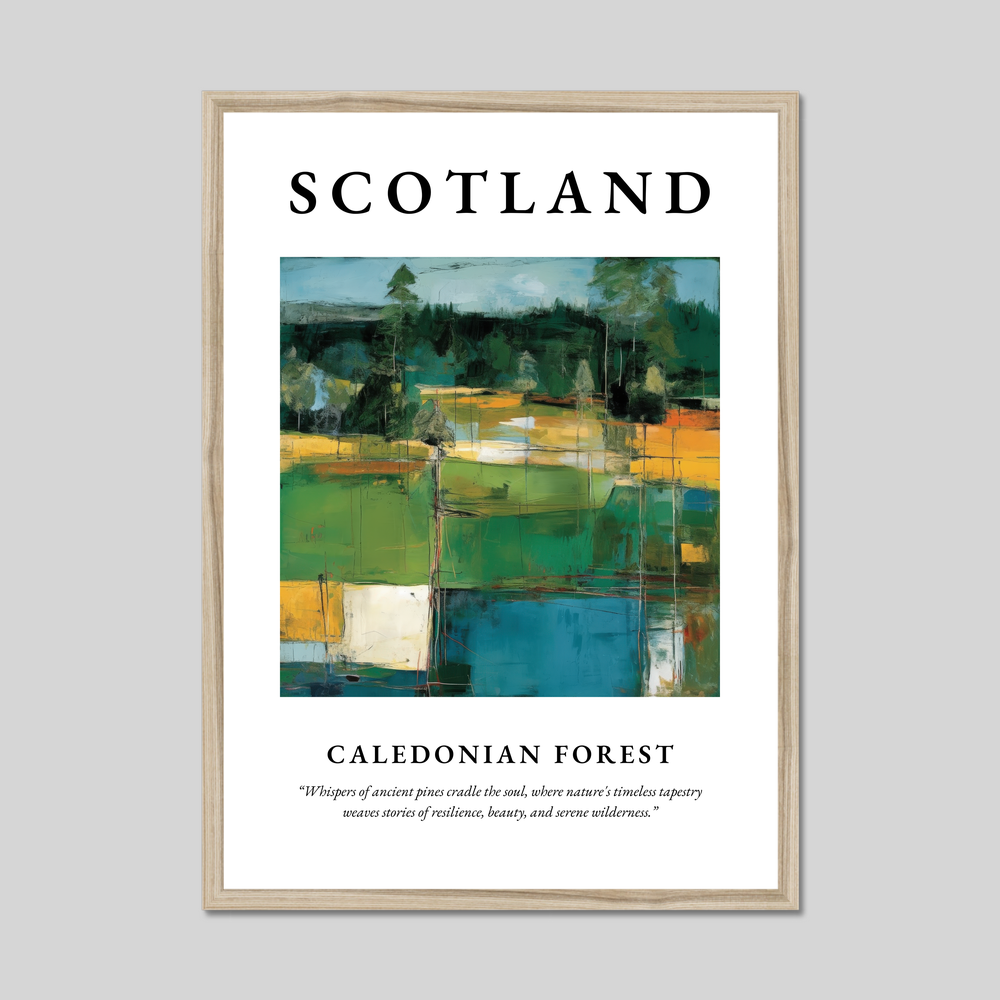 Caledonian Forest - Framed Poster Print