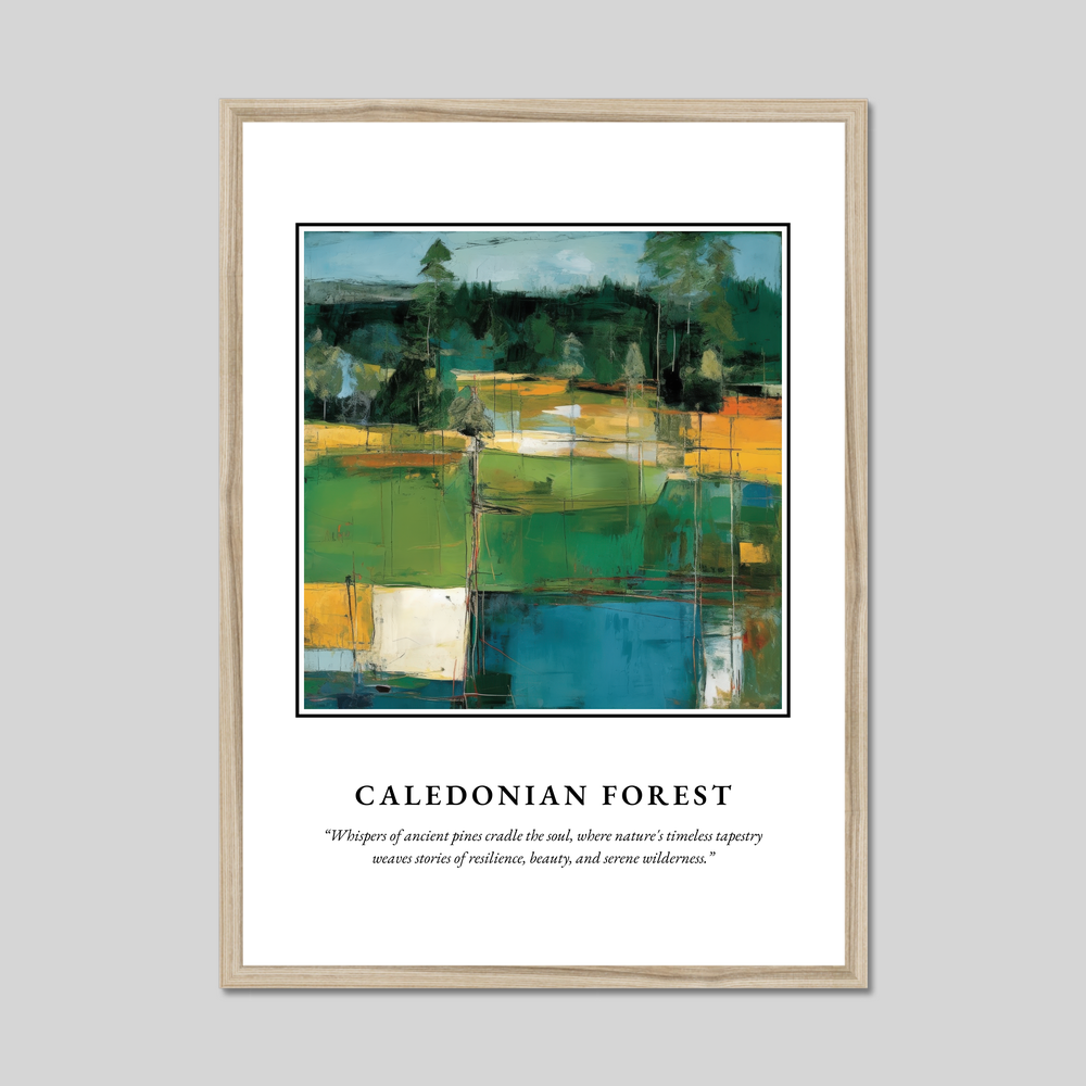 Caledonian Forest - Framed Poster Print