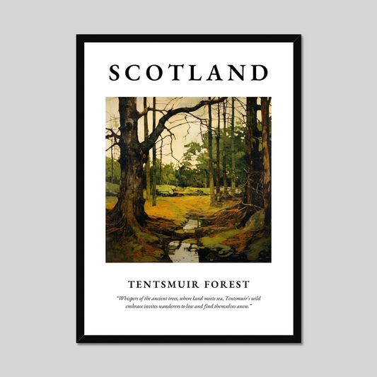 Poster of Tentsmuir Forest, Scotland.