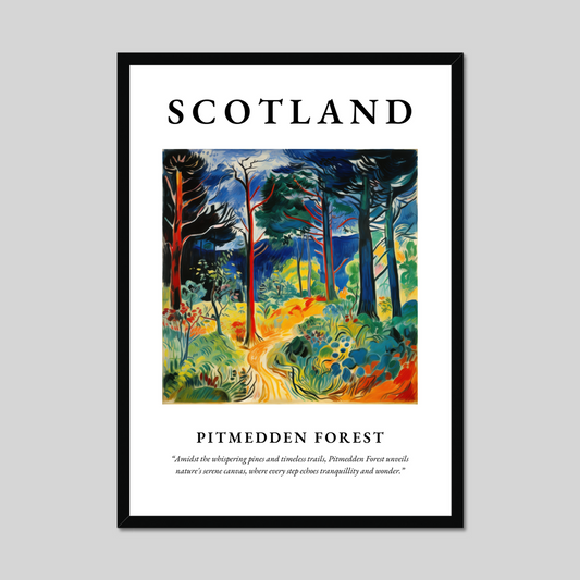 Poster of Pitmedden Forest, Scotland.