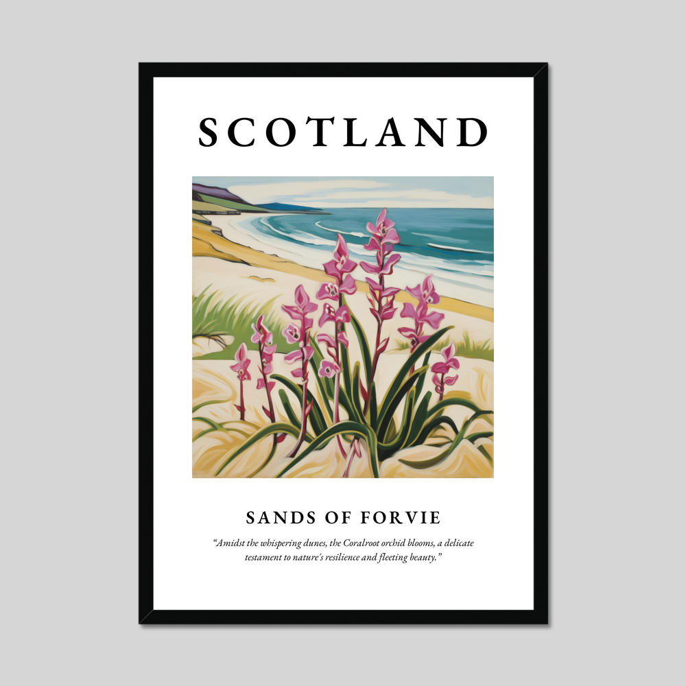 Poster of Sands of Forvie, Scotland.