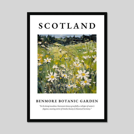 Poster of Benmore Botanic Garden, Scotland.