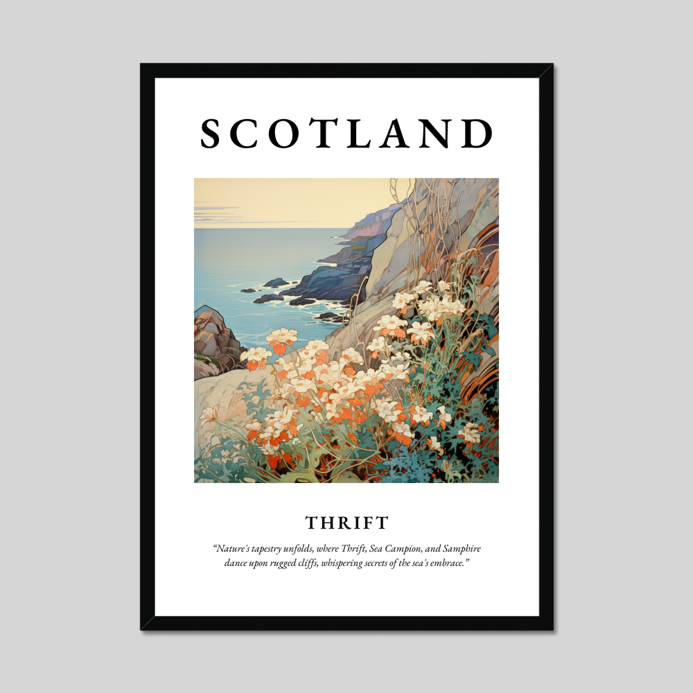 Poster of Thrift, Scotland.