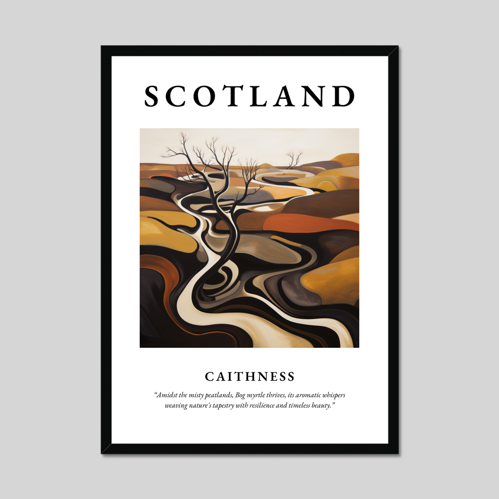 Poster of Caithness, Scotland.