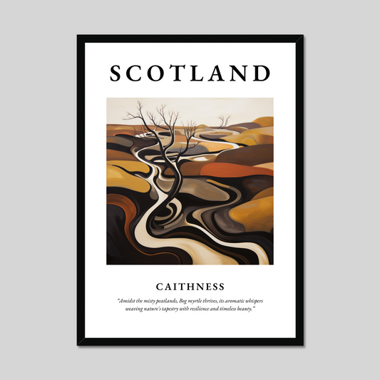 Poster of Caithness, Scotland.