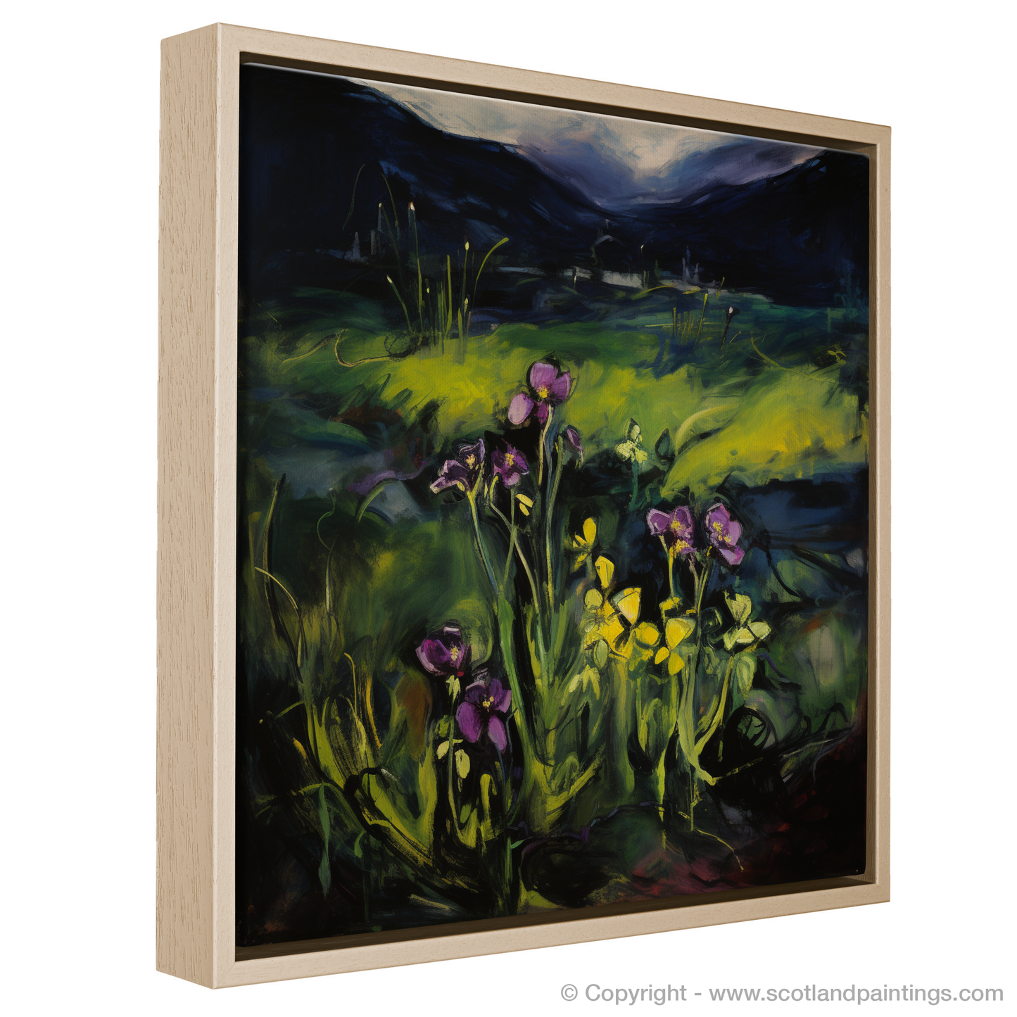 Ardnamurchan's Wild Butterwort: A Fauvist Ode to Scottish Flora