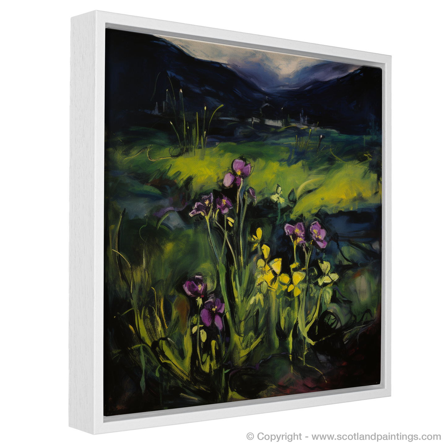 Ardnamurchan's Wild Butterwort: A Fauvist Ode to Scottish Flora