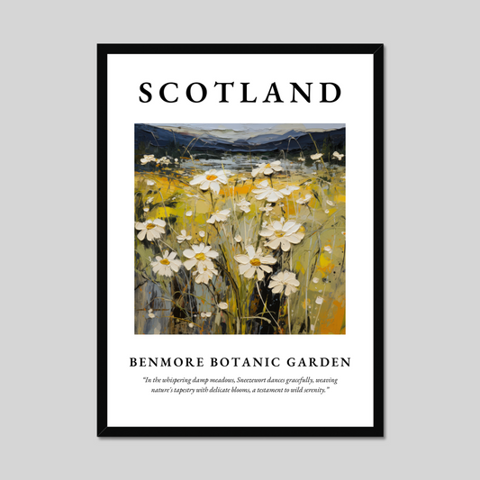 Poster of Benmore Botanic Garden, Scotland.