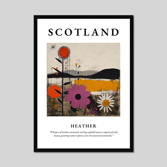 Poster of Heather, Scotland.