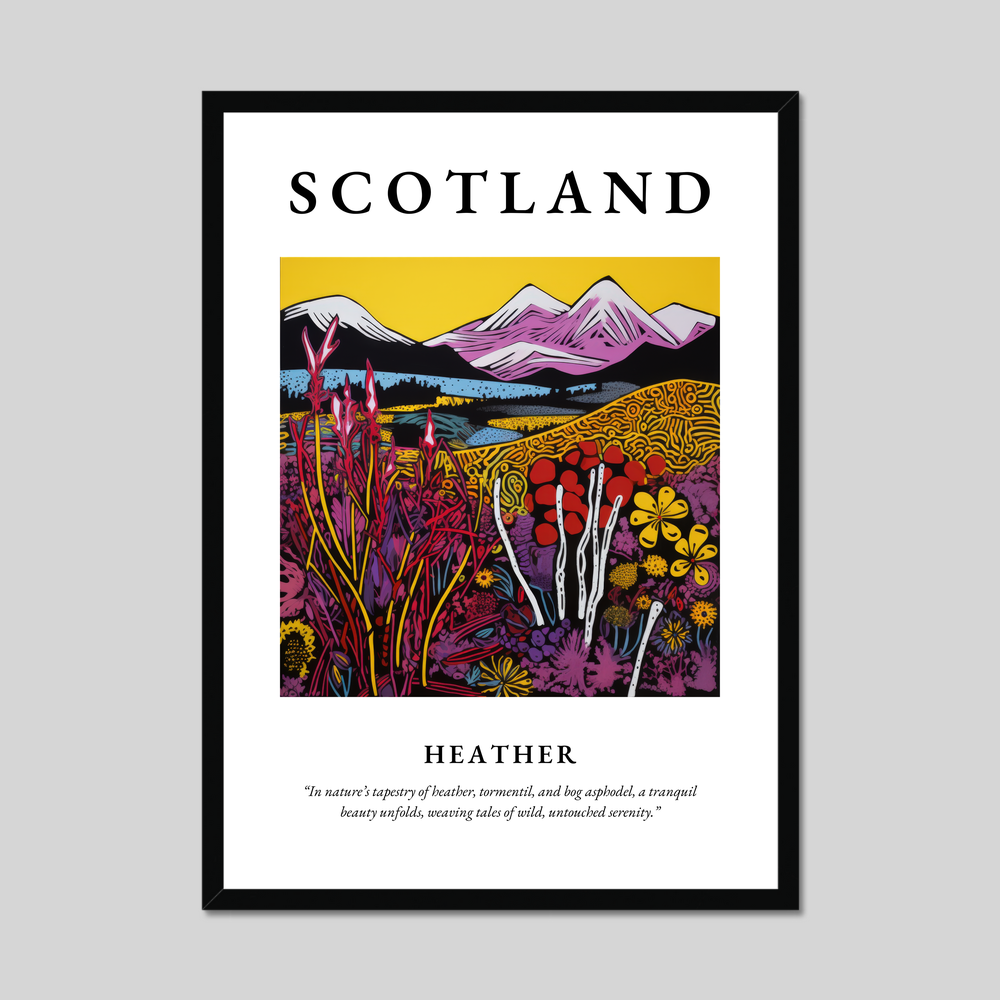 Poster of Heather, Scotland.