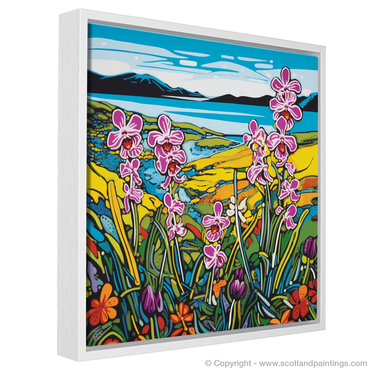 Vibrant Orchid Oasis in Uist's Machair