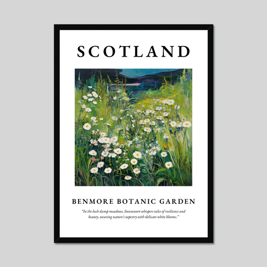 Poster of Benmore Botanic Garden, Scotland.