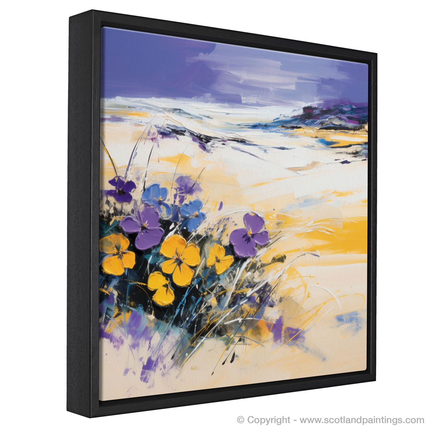 Wild Pansy Whispers: Dance of Dunes and Delight