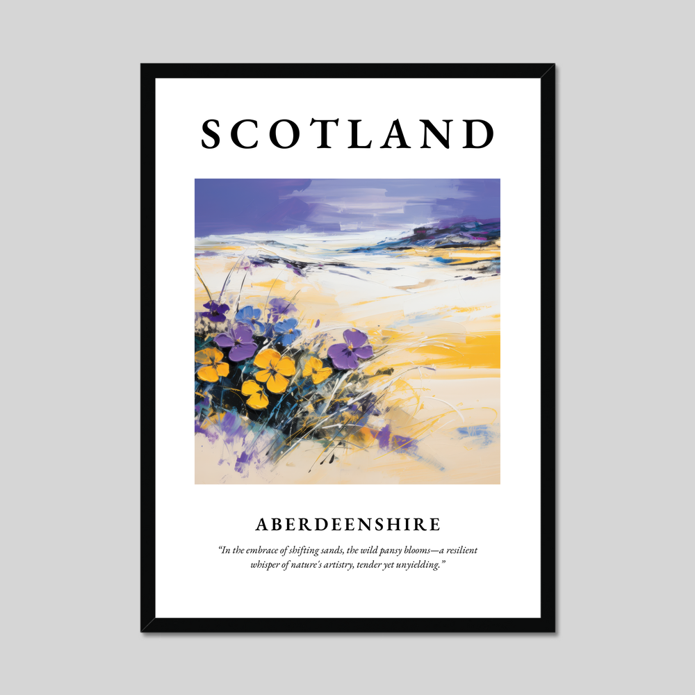 Poster of Aberdeenshire, Scotland.