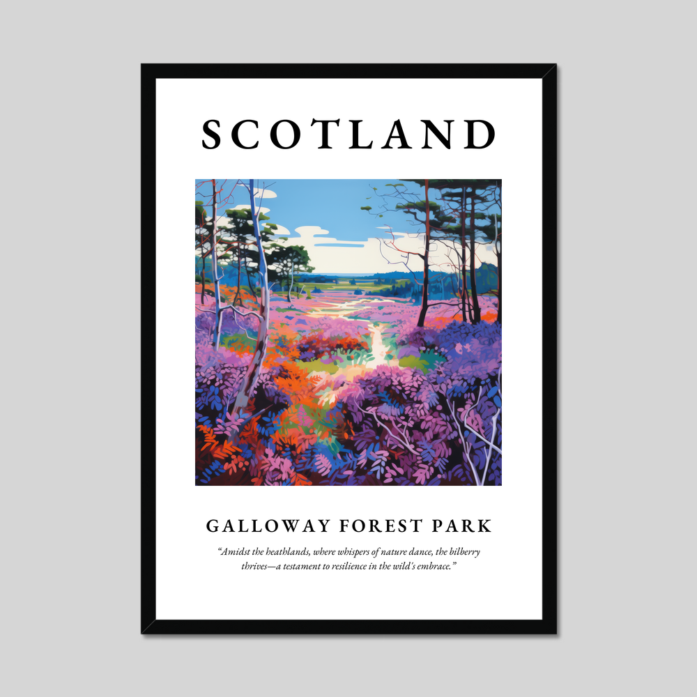 Poster of Galloway Forest Park, Scotland.