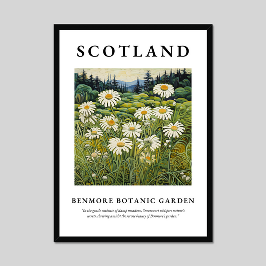 Poster of Benmore Botanic Garden, Scotland.