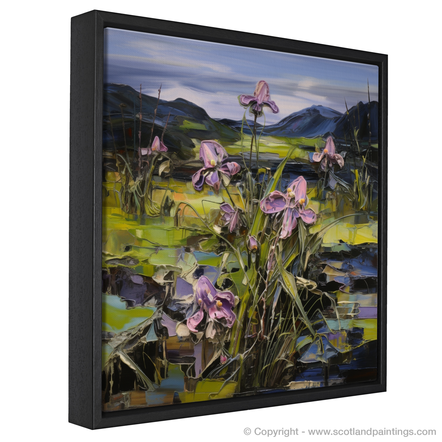 Butterwort's Embrace: A Journey through Ardnamurchan's Moody Blooms