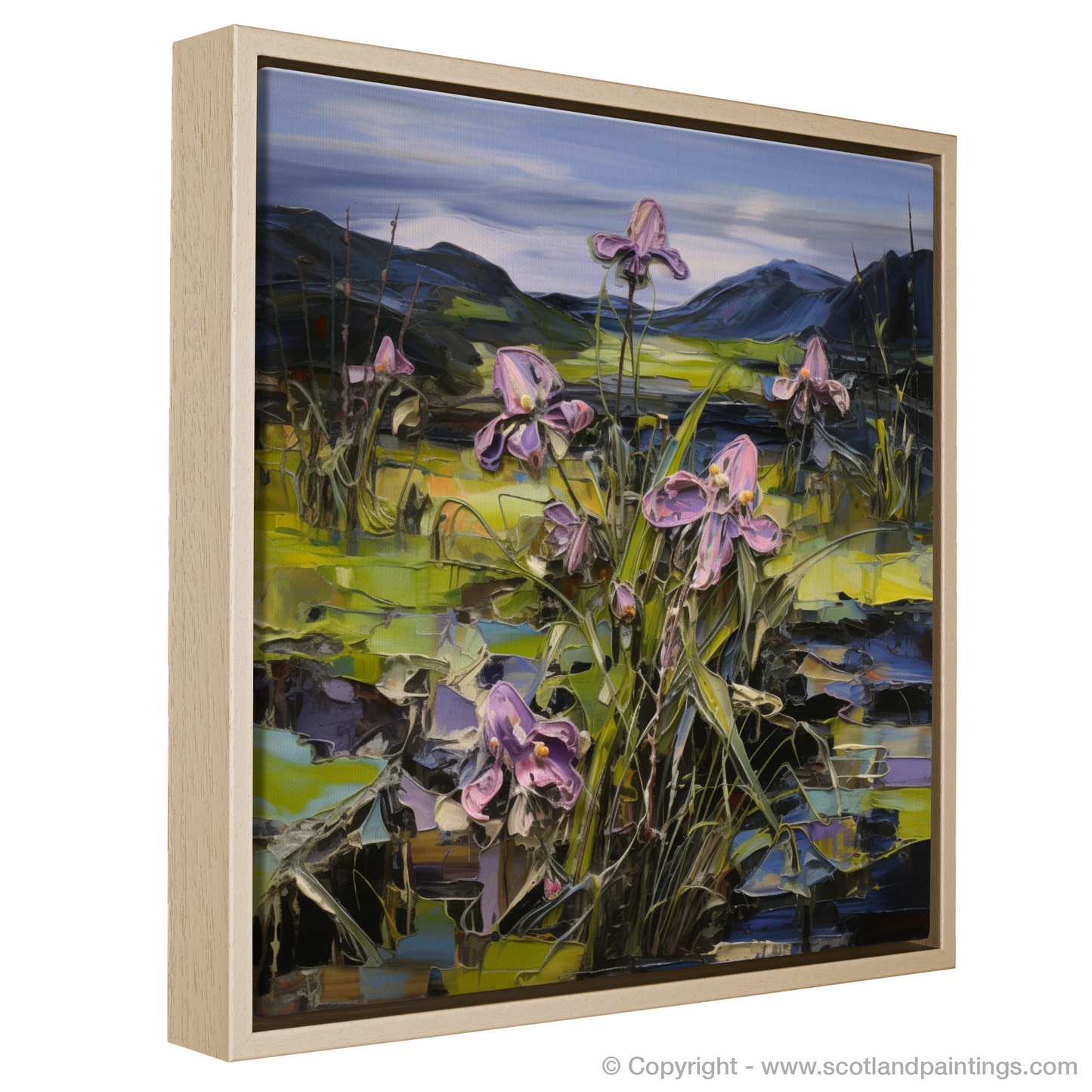 Butterwort's Embrace: A Journey through Ardnamurchan's Moody Blooms