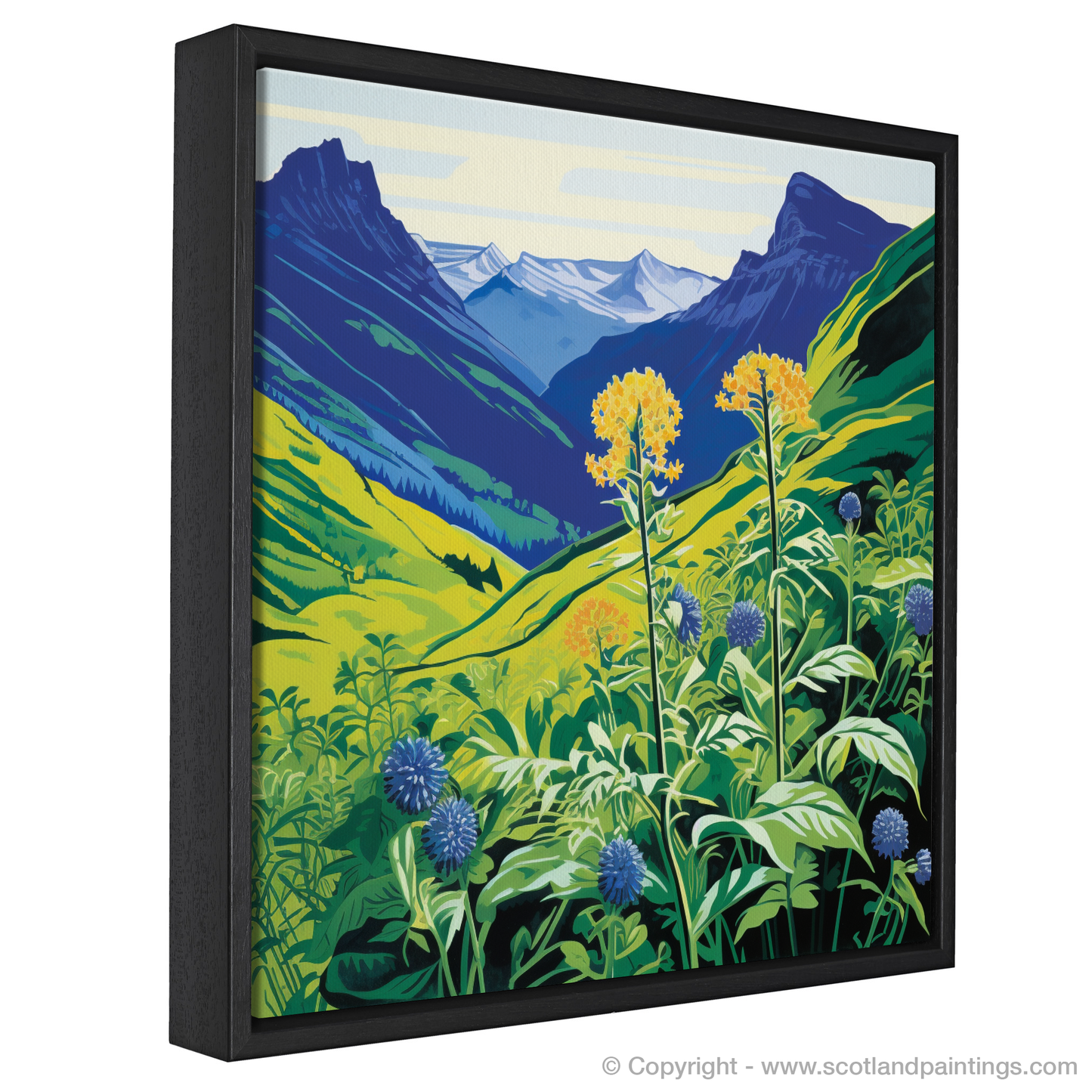 Vibrant Highland Flora: Alpine Lady's-Mantle on Ben Lawers