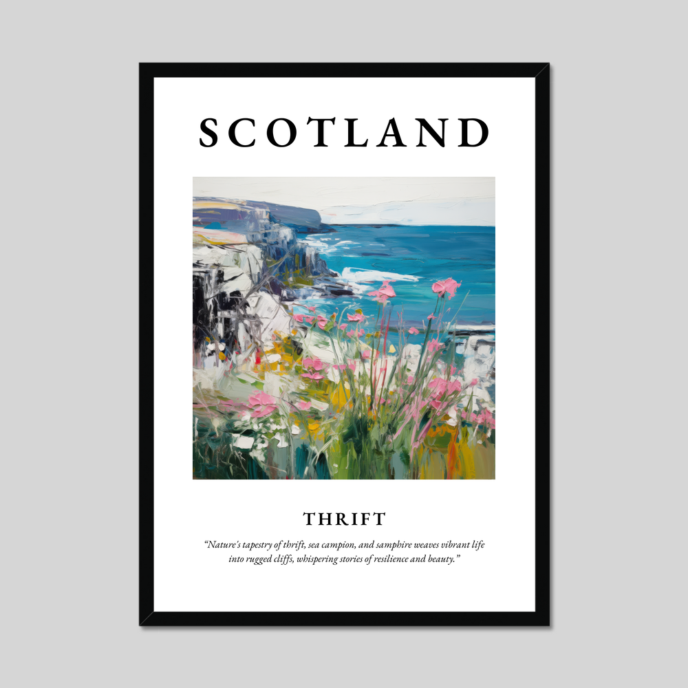 Poster of Thrift, Scotland.