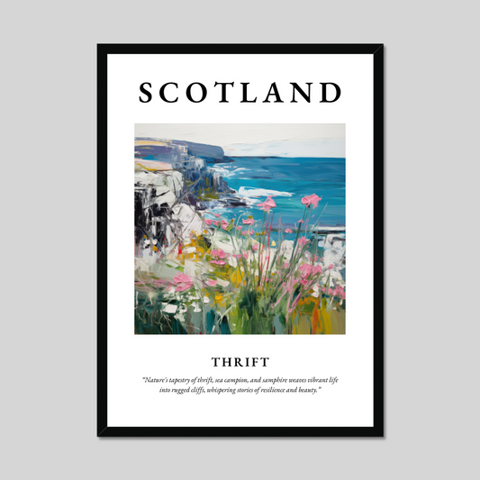 Poster of Thrift, Scotland.