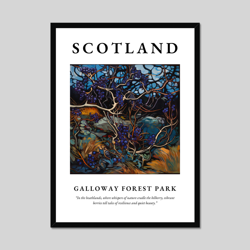 Poster of Galloway Forest Park, Scotland.