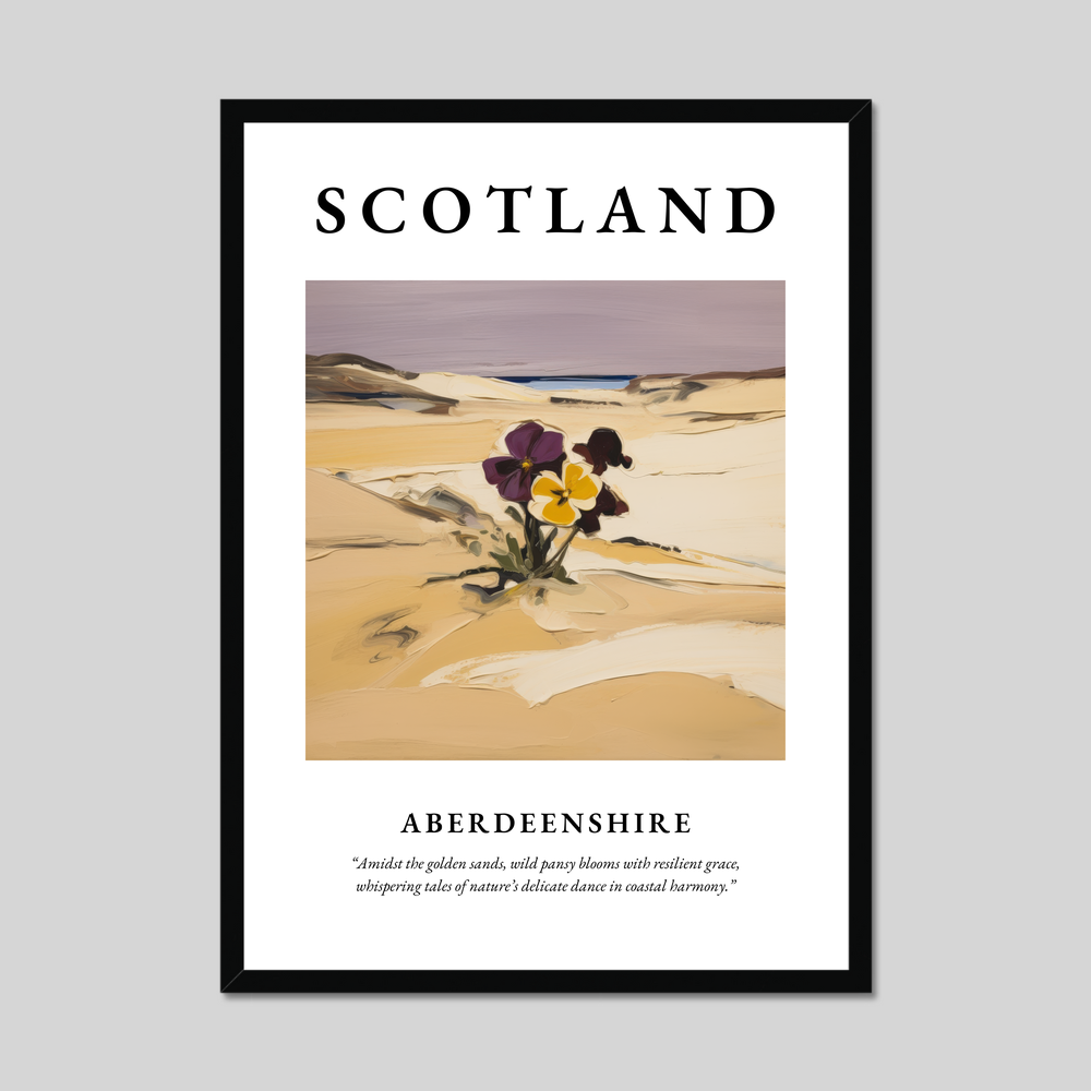 Poster of Aberdeenshire, Scotland.