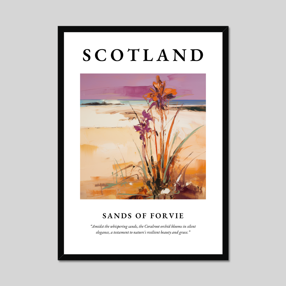 Poster of Sands of Forvie, Scotland.