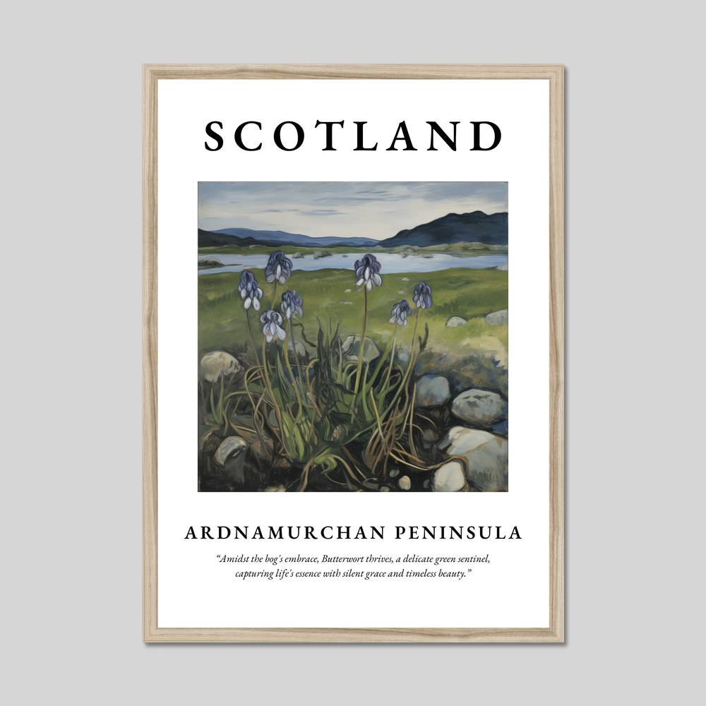 Poster in a natural frame with the word Scotland