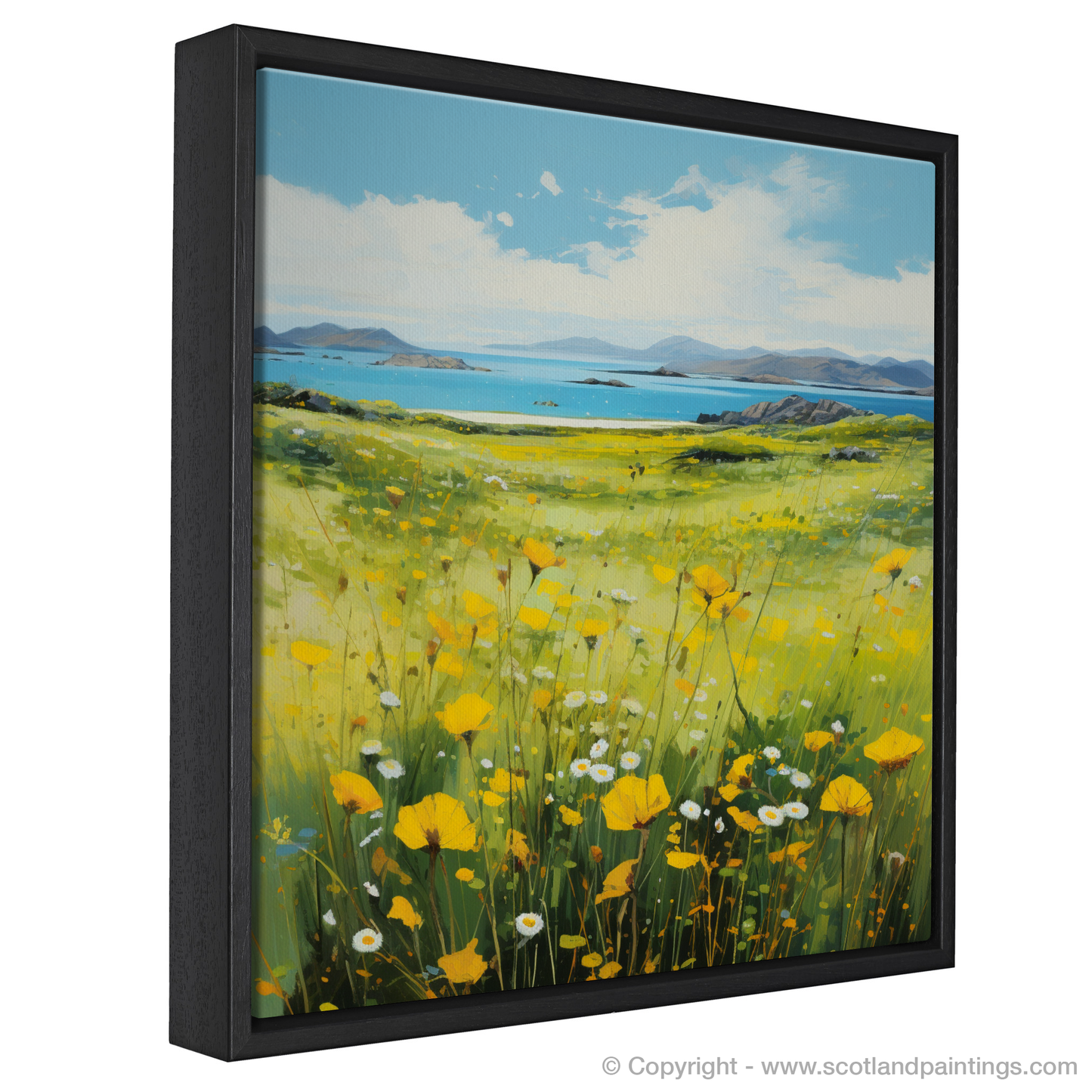 Machair Meadows: A Naive Art Tribute to Yellow Rattle in the Outer Hebrides