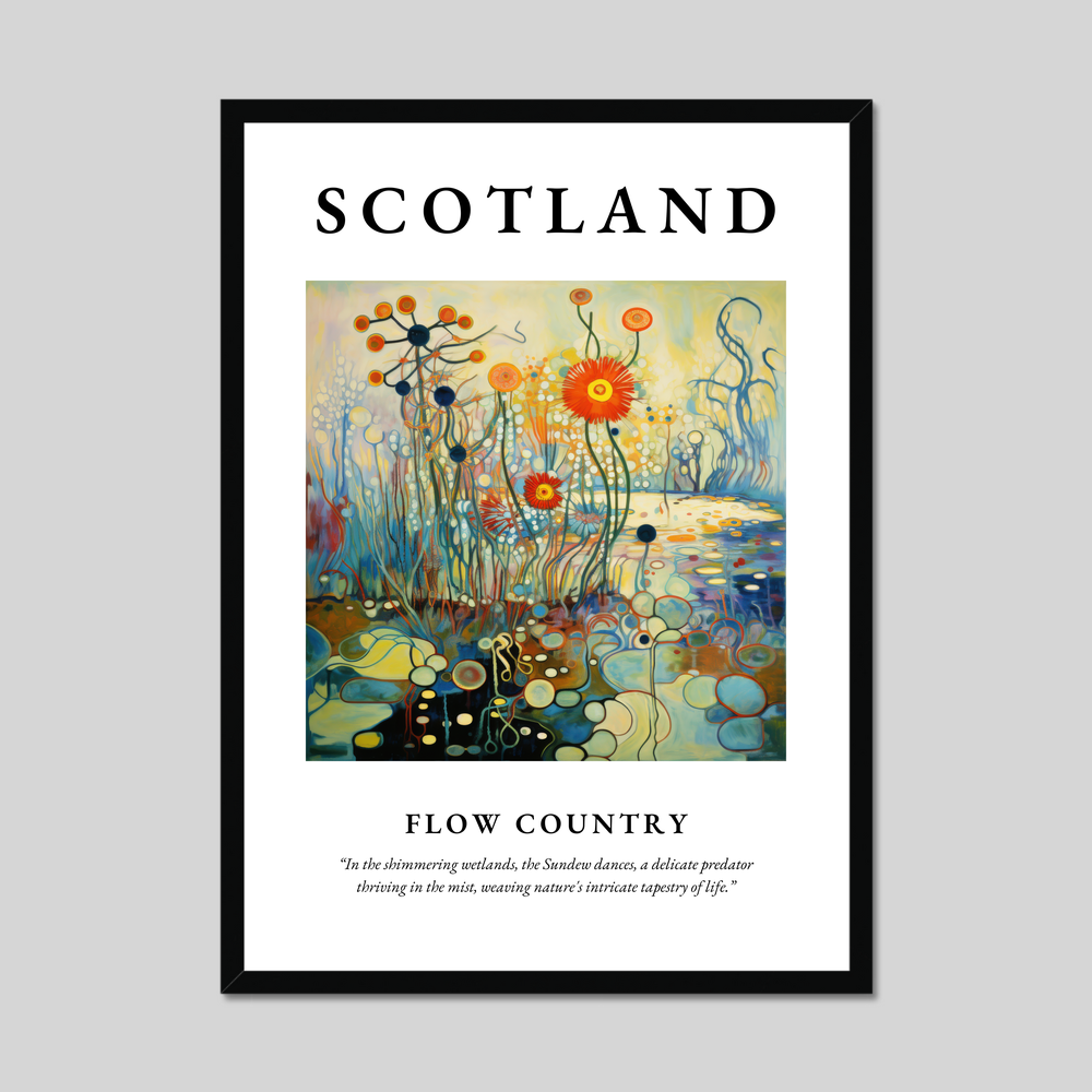 Poster of Flow Country, Scotland.