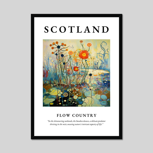 Poster of Flow Country, Scotland.