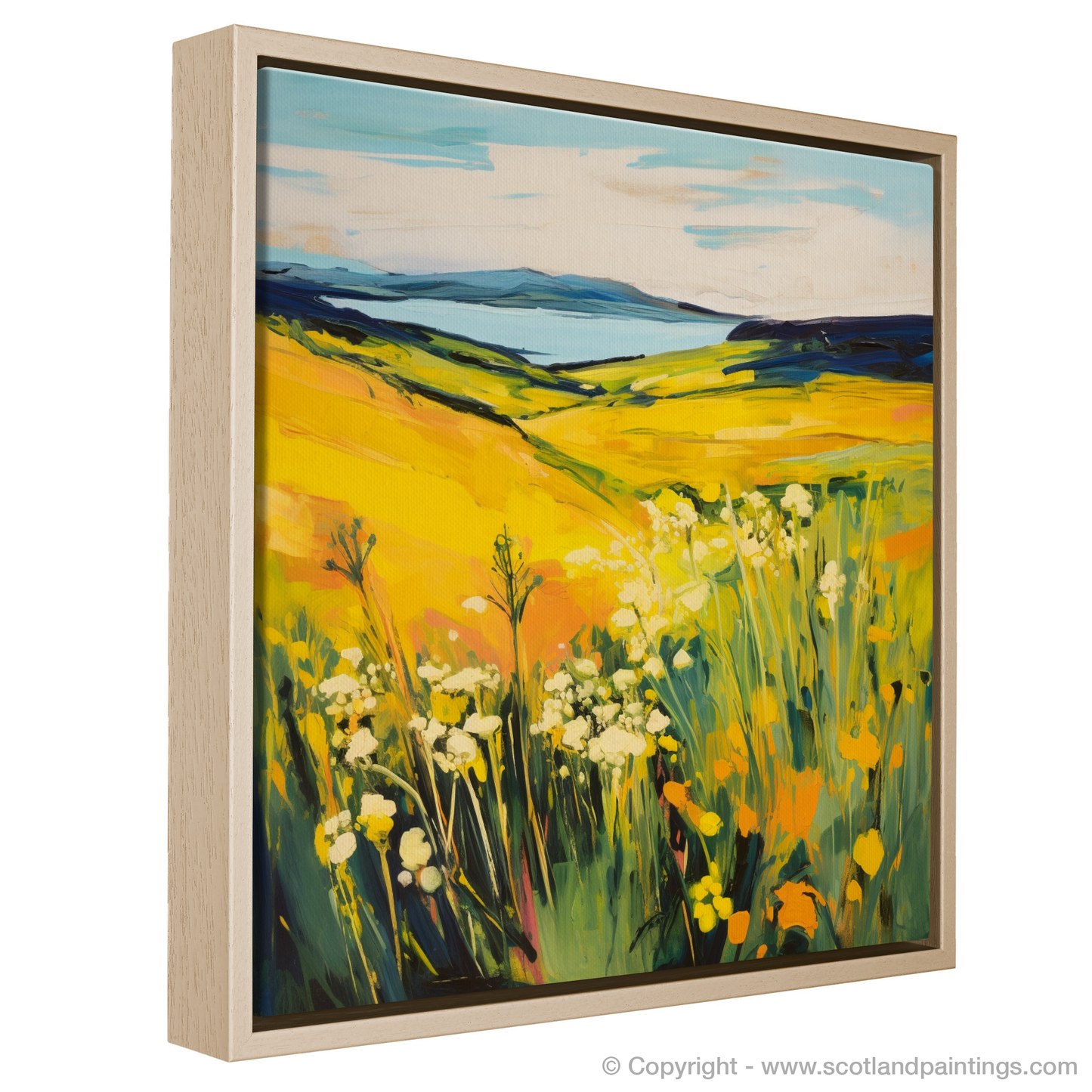 Machair Radiance: Fauvist Ode to Lady's Bedstraw