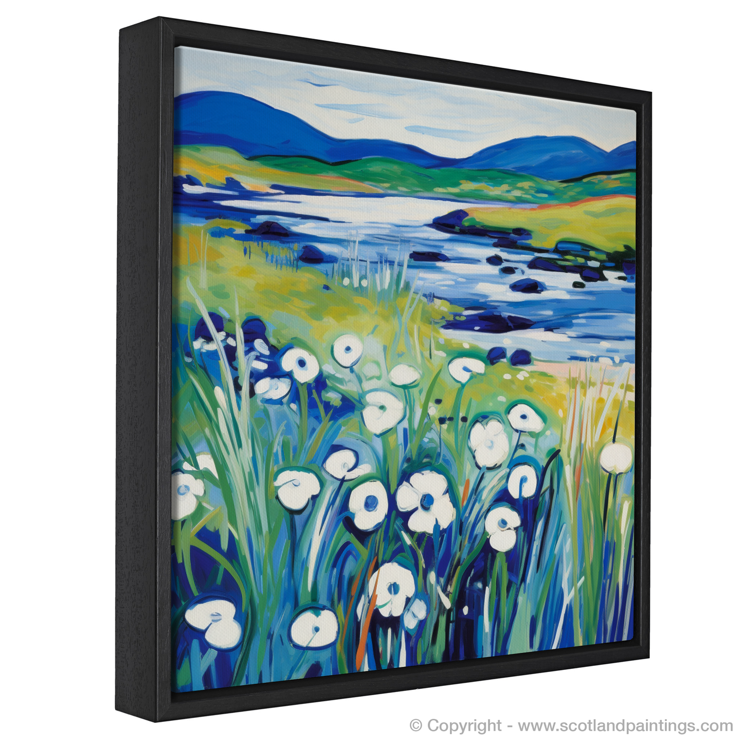 Wild Cotton Grass Fauvism: A Tribute to the Isle of Skye's Upland Bogs