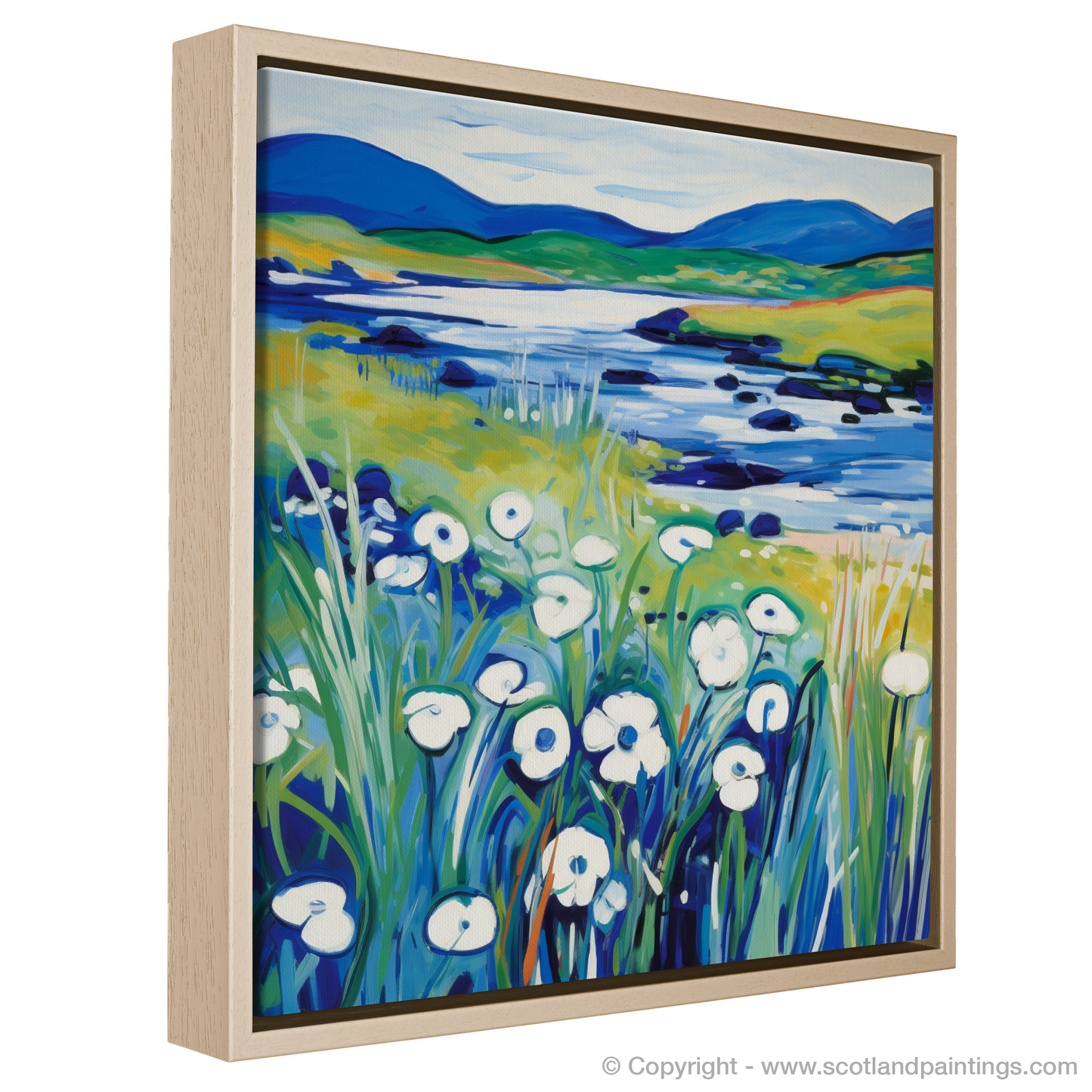 Wild Cotton Grass Fauvism: A Tribute to the Isle of Skye's Upland Bogs