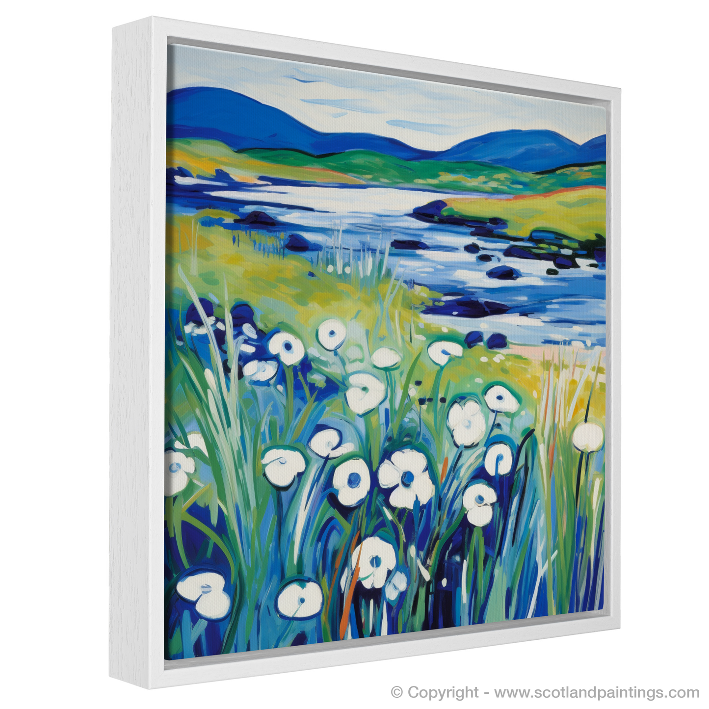 Wild Cotton Grass Fauvism: A Tribute to the Isle of Skye's Upland Bogs