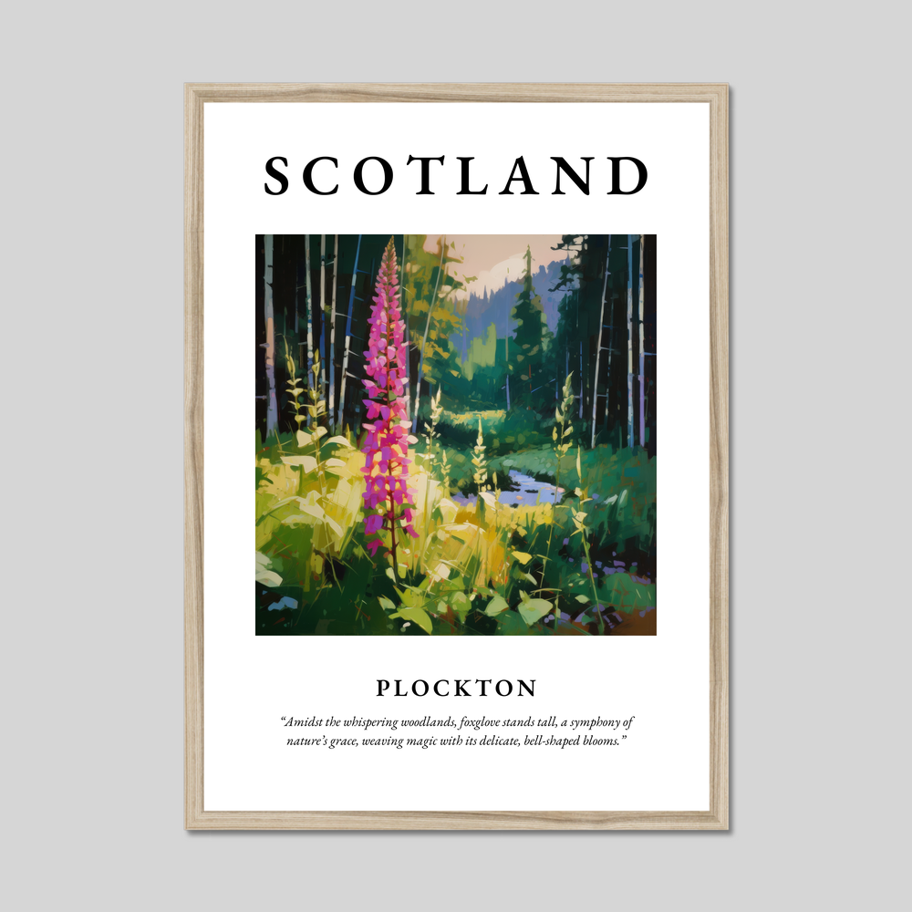 Poster in a natural frame with the word Scotland