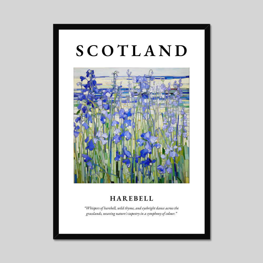 Poster of Harebell, Scotland.