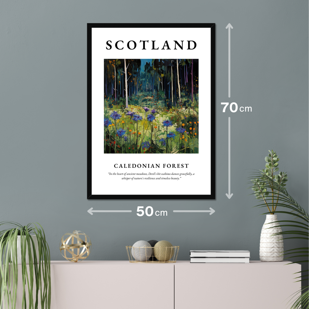 Poster of Caledonian Forest hanging on a wall