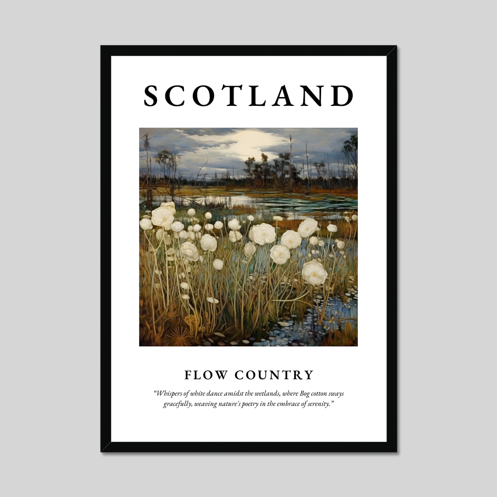 Poster of Flow Country, Scotland.