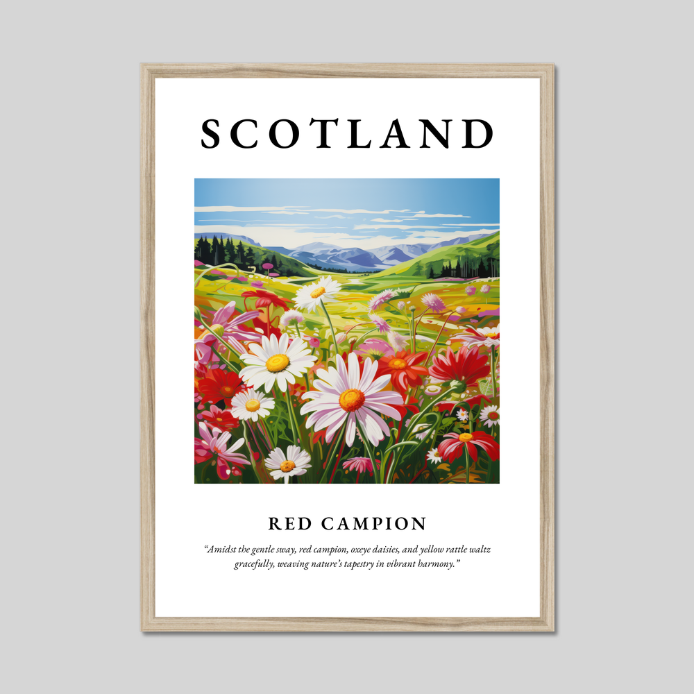 Poster in a natural frame with the word Scotland