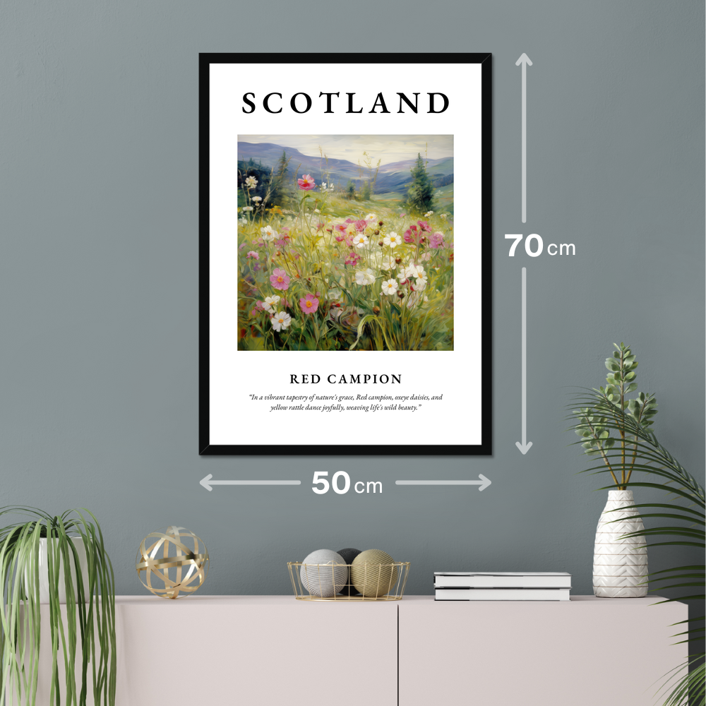 Poster of Red campion hanging on a wall